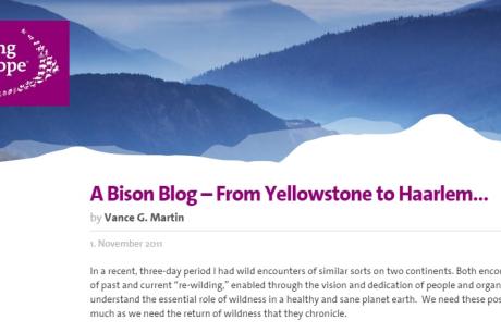Blog Rewilding Europe
